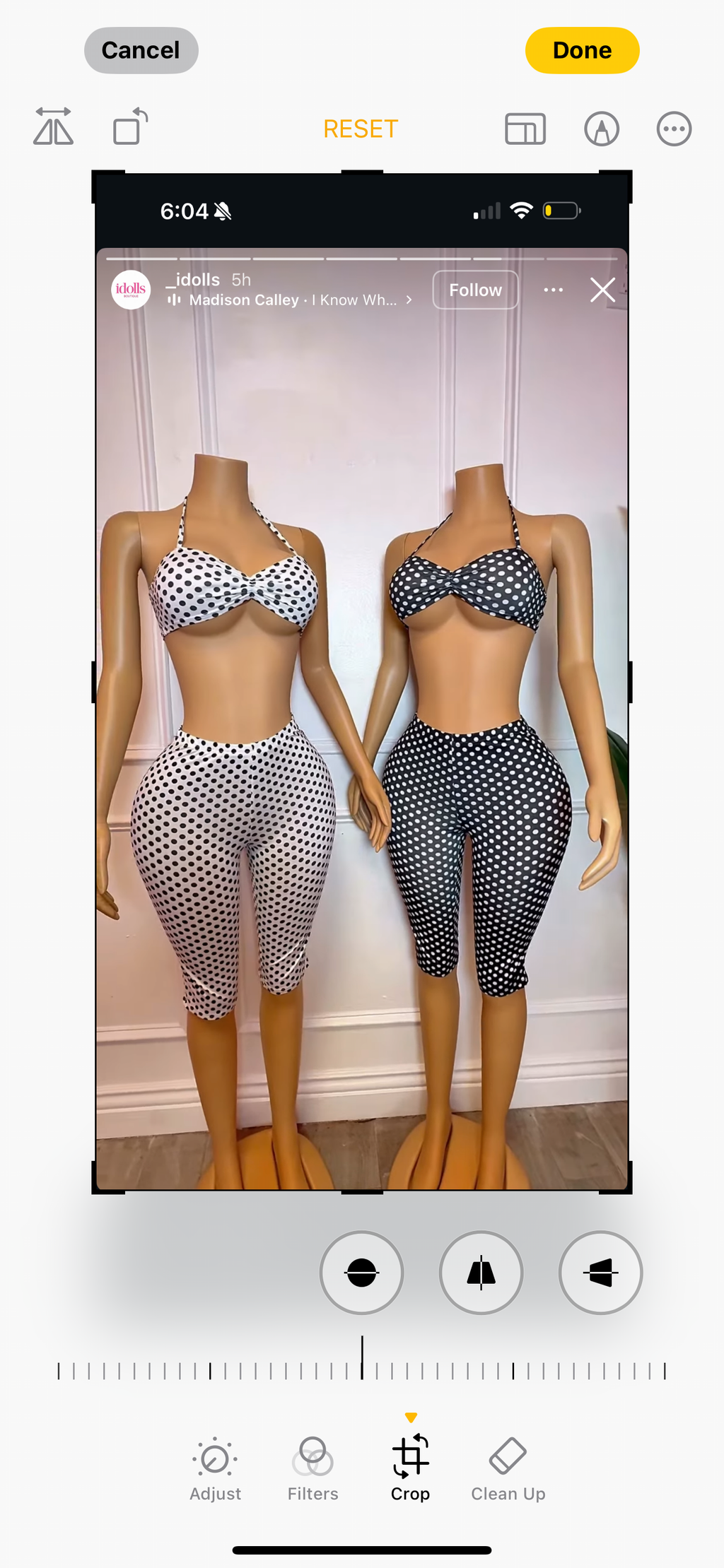 Polka Dot
 SET