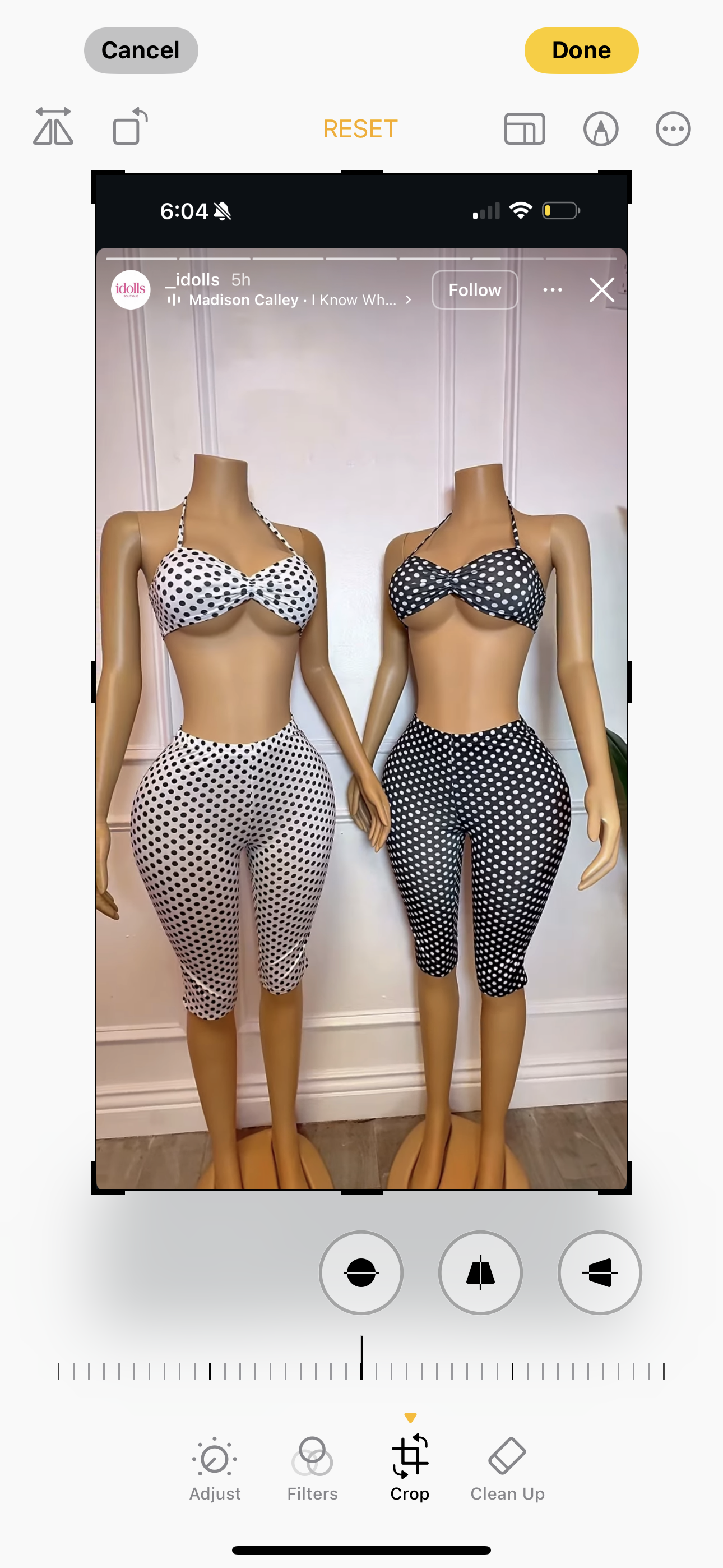 Polka Dot
 SET