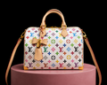 The LV bag