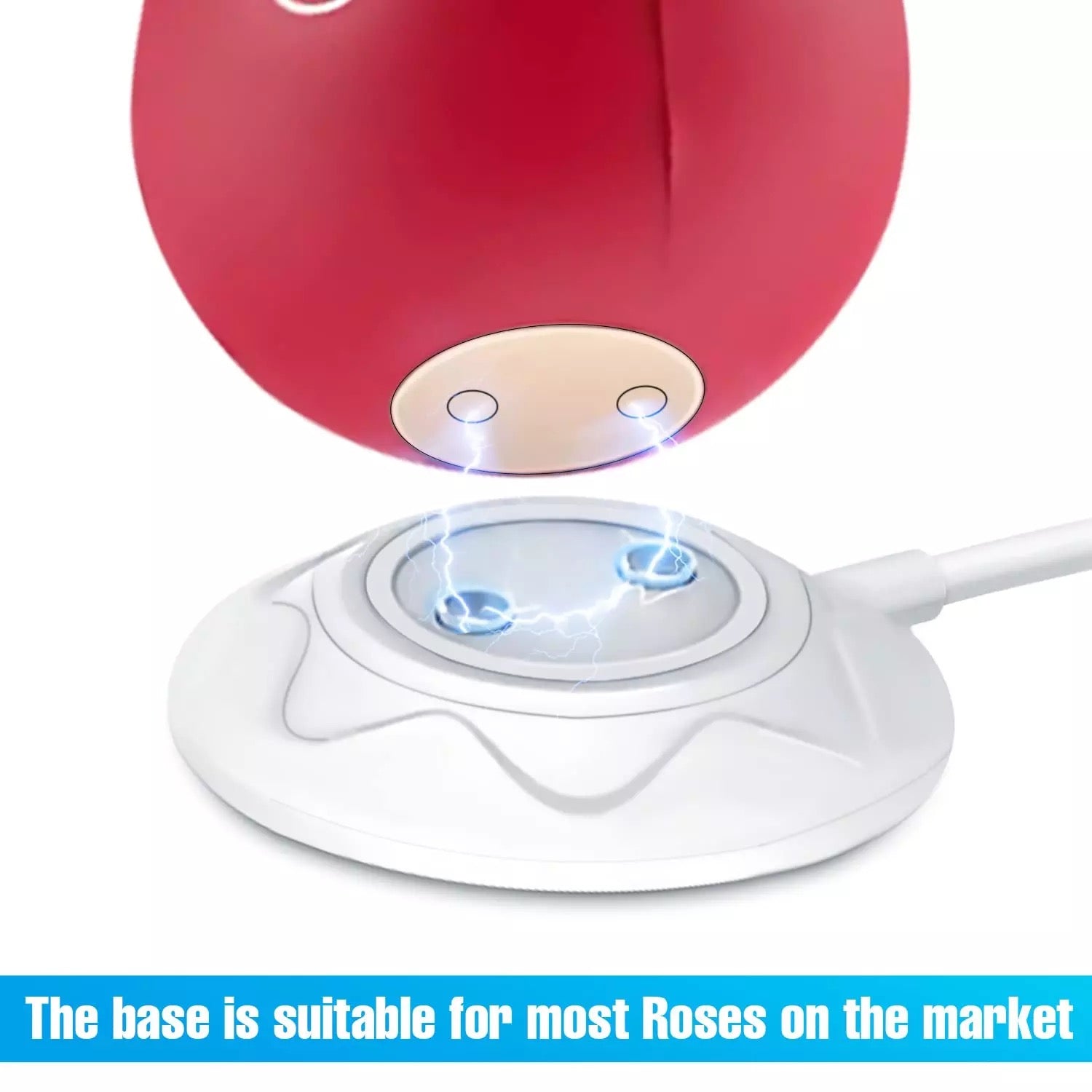 Normal regular vibrator Charger